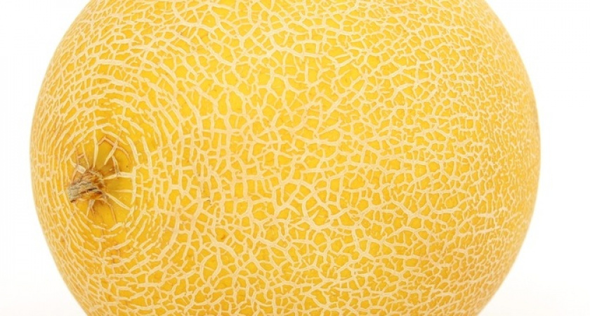 Слаще меда: назван «правильный» сорт дыни для дачи или огорода