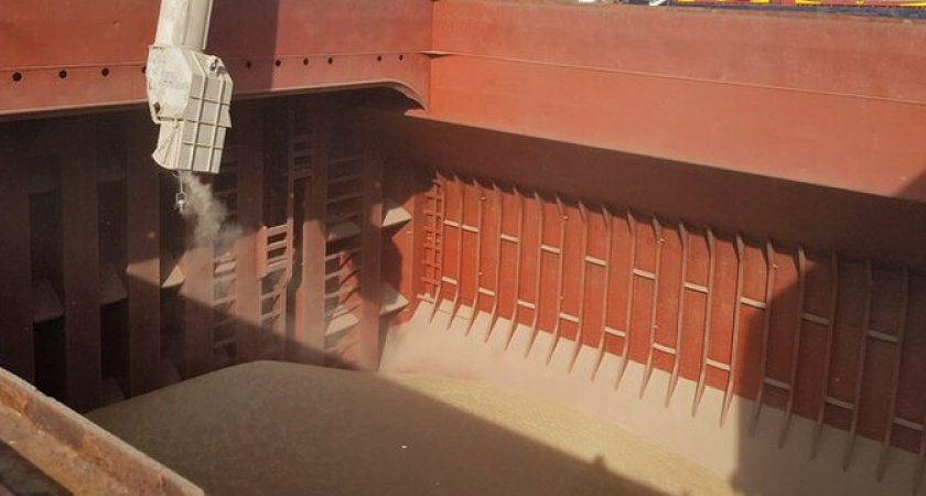 Из Новороссийска в Африку в качестве гуманитарной помощи отправили более 25 тысяч тонн зерна