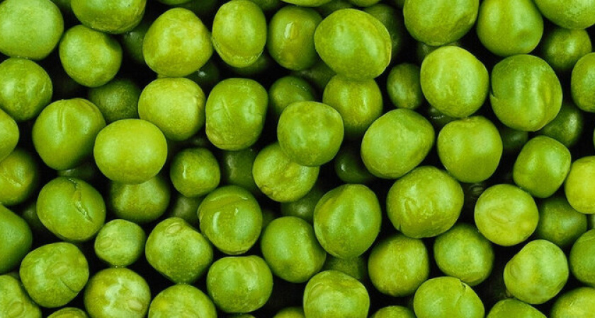 Салат им не испортишь! Роскачество назвало марки зеленого горошка, которые можно брать