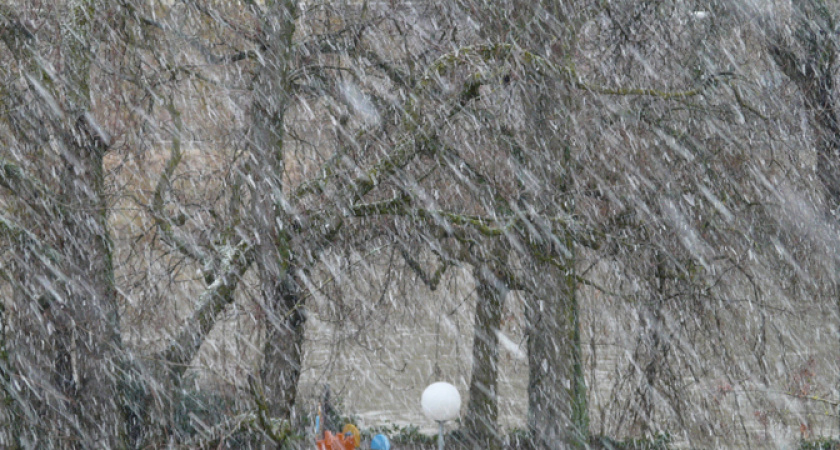«Февраль нам всем подгадит». Синоптики объявили неожиданный прогноз на конец зимы