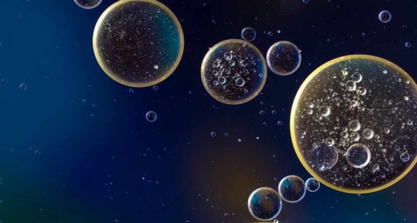 Отрава в глянцевой упаковке: Роскачество назвало растительное масло, которое попало в черный список