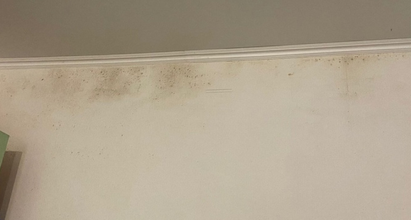 В квартирах новороссийцев на стенах появилась жуткая плесень из-за сырости и отсутствия отопления 