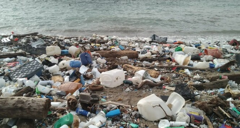 В Новороссийске Волочаевский пляж превратился в свалку 