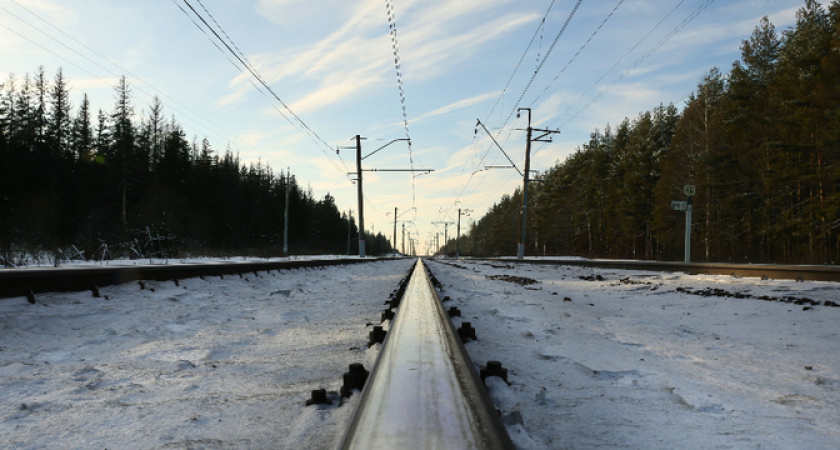 Теперь проводникам запрещено высаживать животных из поездов