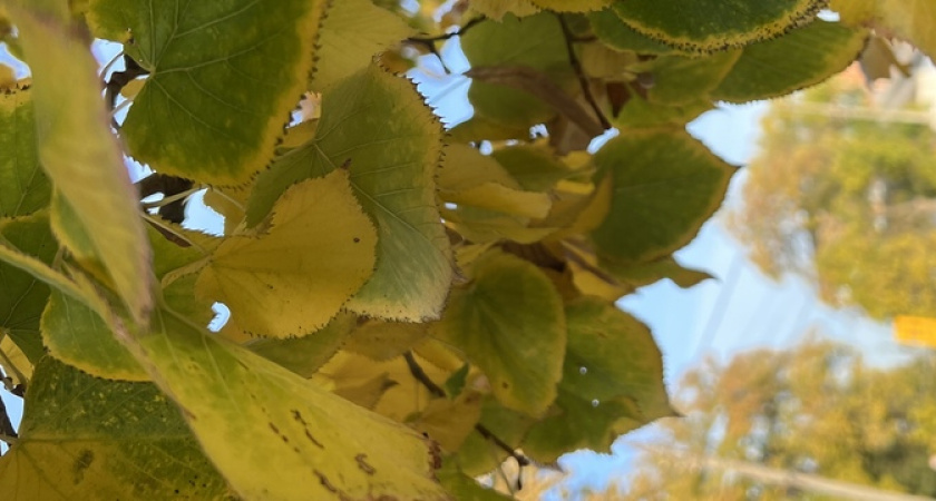 Такого октября на Кубани не было давно: синоптики дали прогноз