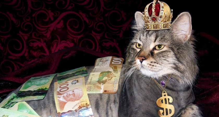 Станет больше денег: Глоба пророчит трем знакам зодиака несметные богатства