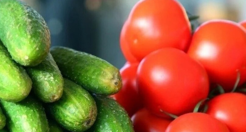 В Новороссийске на смену грунтовым овощам приходят тепличные. Почем огурцы и помидоры для народа?