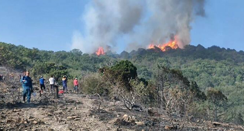 Площадь пожара под Новороссийском увеличилась до 51 га