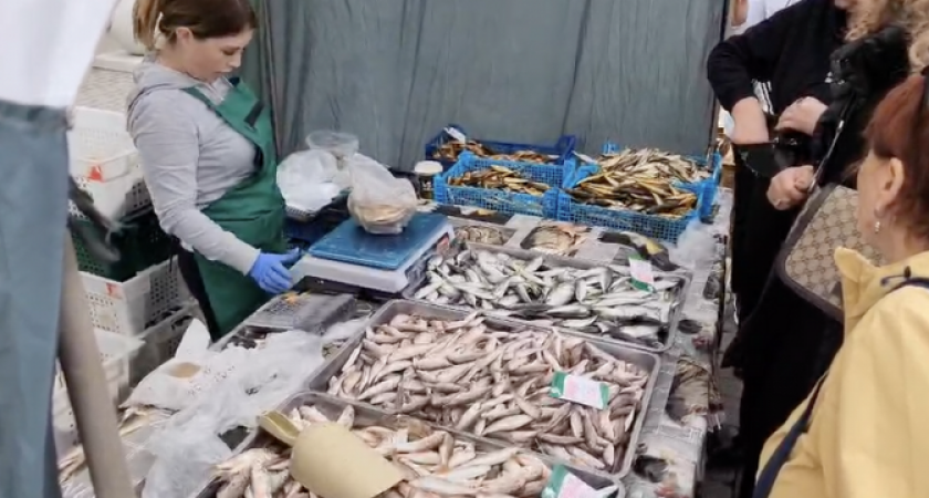 Море рыбы, группа «Линда» и безудержное веселье: второй день фестиваля хамсы в Новороссийске в разгаре