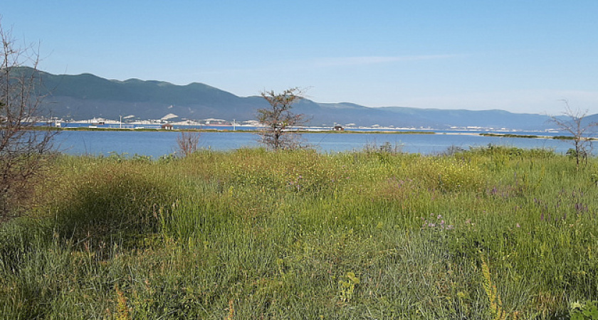 Жителей Новороссийска приглашают на субботник у Суджукской лагуны