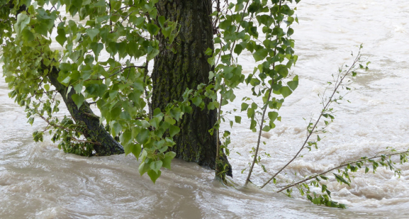 «Июнь подложит свинью». Синоптики дали прогноз на начало лета