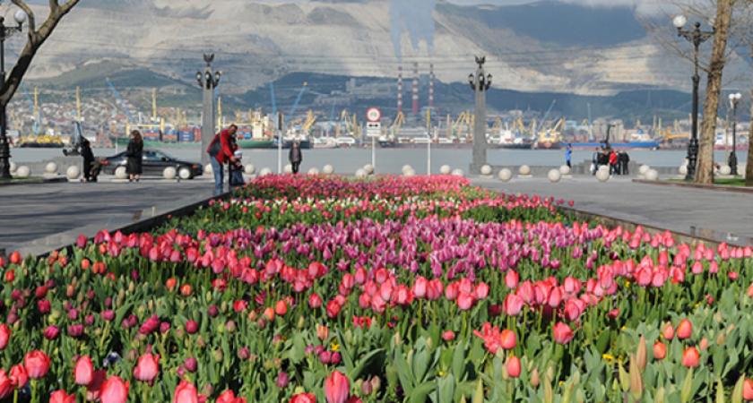 Весна взяла паузу: синоптики рассказали о погоде в выходные дни на Кубани
