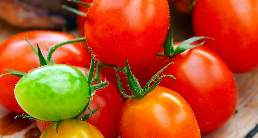 Нет завязи на помидорах. Как опрыскать их борной кислотой и чем ещё можно помочь