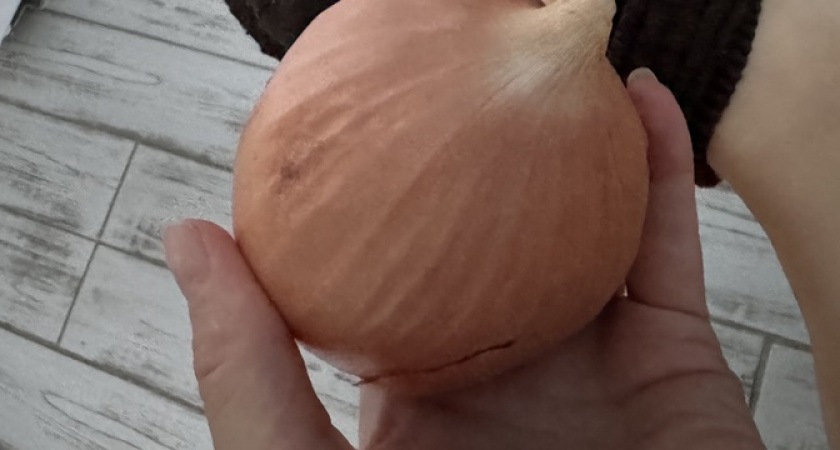 Положите разрезанный лук в носок на ночь: утром ахнете от результата 