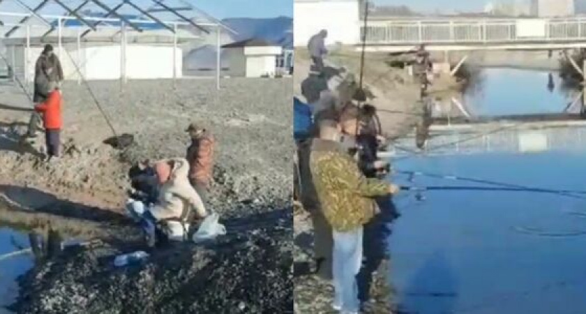 Власти Новороссийска не могут на законных основаниях открыть проран в Суджукской лагуне - активисты пишут обращения в прокуратуру, Минприроды, Госдуму и президенту