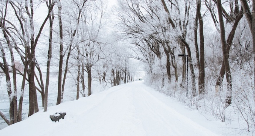 Синоптики пообещали аномальную зиму