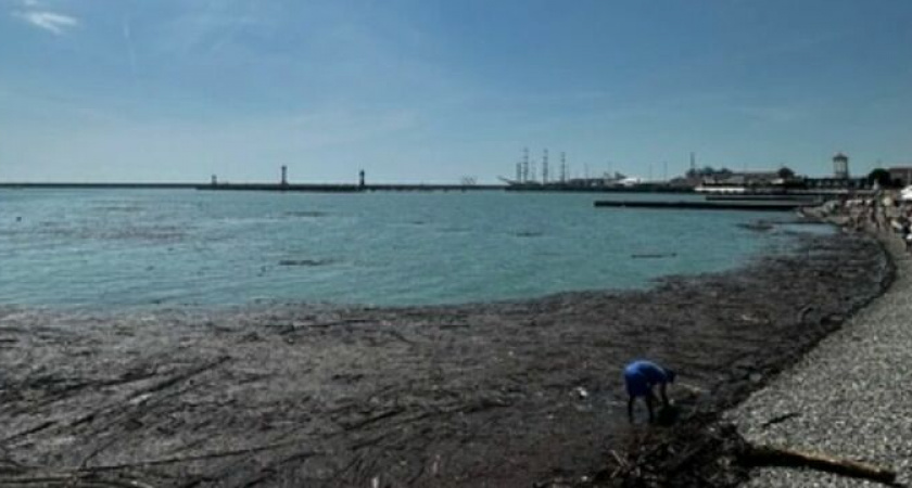 "Настоящее болото!": море в Сочи покрылось черной пленкой, мусором и палками