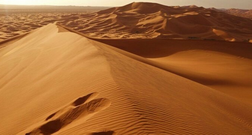 Сахара атакует: Новороссийск накроют пески из самой большой пустыни мира