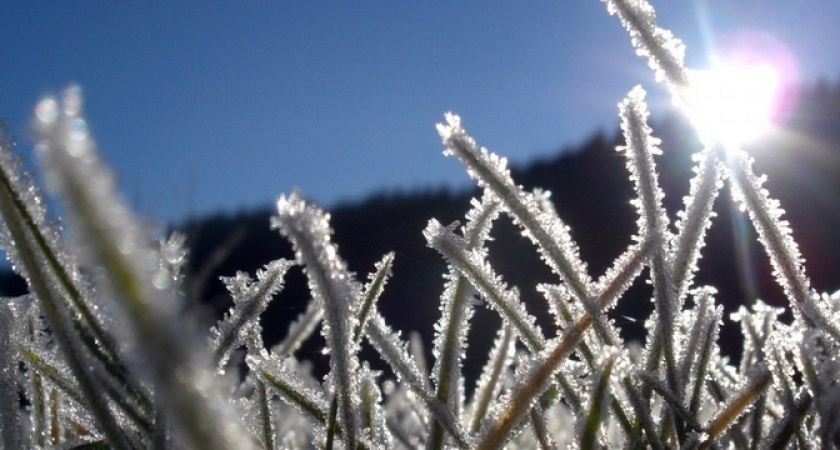 На Кубани ночные температуры упадут до -4 градусов