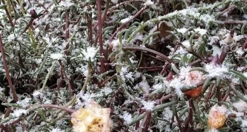 Какой будет погода на Кубани 9 мая