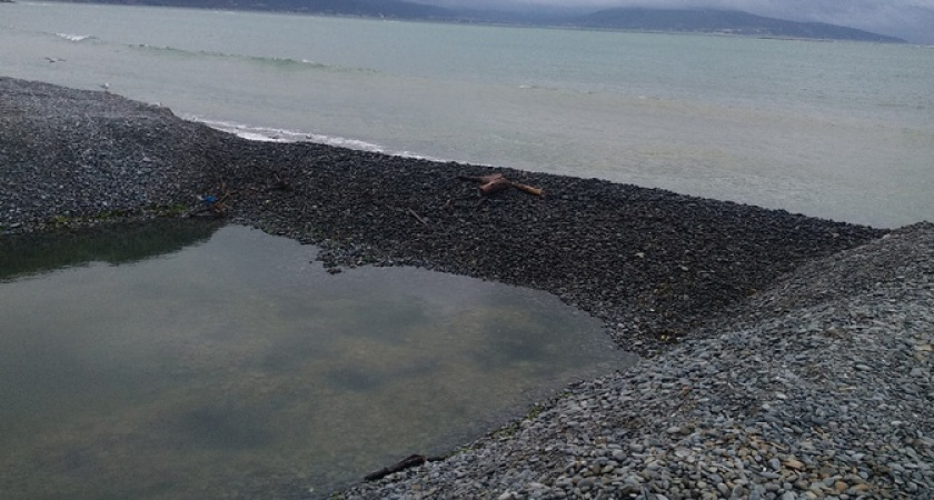 Краевая прокуратура: Минприроды отлынивает от расчистки прорана в Суджукской лагуне Новороссийска, прикрывая бездействие исследованием лагуны