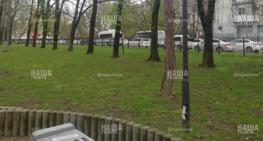 «Такого безобразия не должно быть!»: новороссийцы заметили, что на центральной аллее из фонарных столбов торчат провода