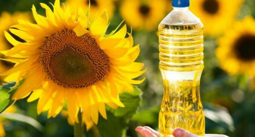 Смело берите! Эксперты Роскачества назвали лучшие марки подсолнечного масла