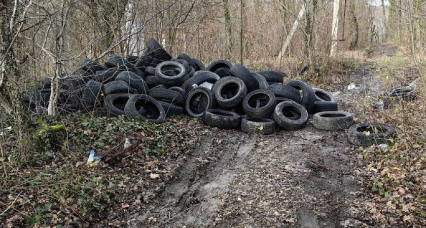 Горожане обнаружили свалку автомобильных шин в лесу в окрестностях Новороссийска
