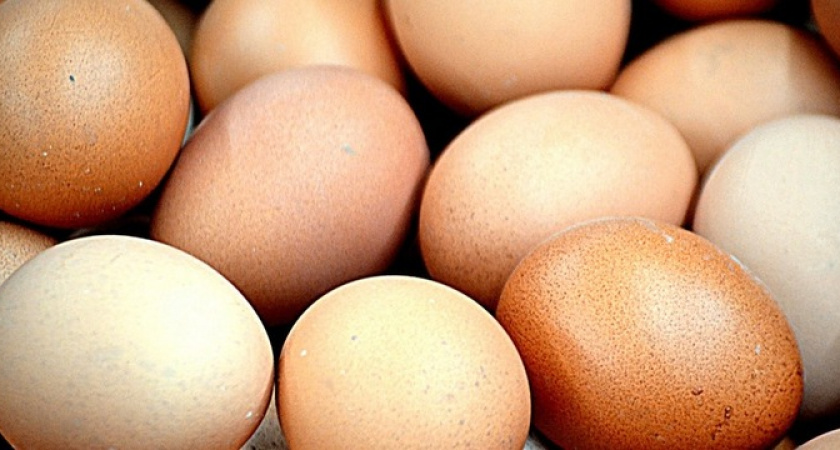 Не делайте так: вы храните куриные яйца неправильно