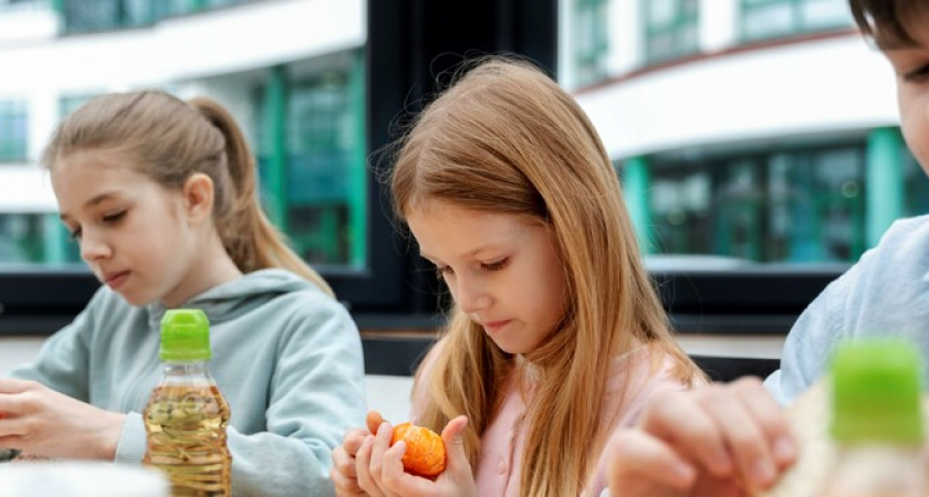 В Новороссийске поставщик питания в школы завышал цены на свои услуги