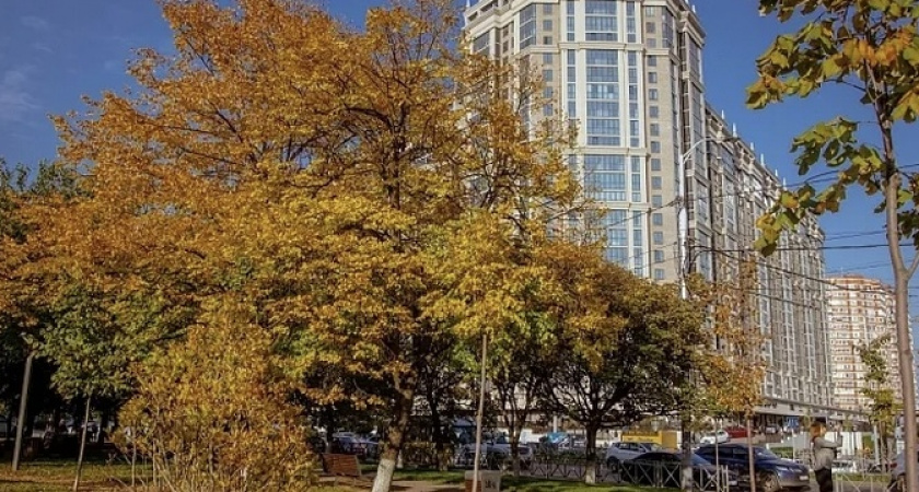 Ноябрь удивит летним теплом: синоптики рассказали о нетипичной погоде для последнего месяца осени