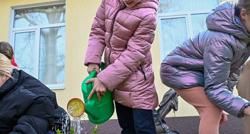 В Новороссийске дети высадили 30 новых деревьев и кустарников