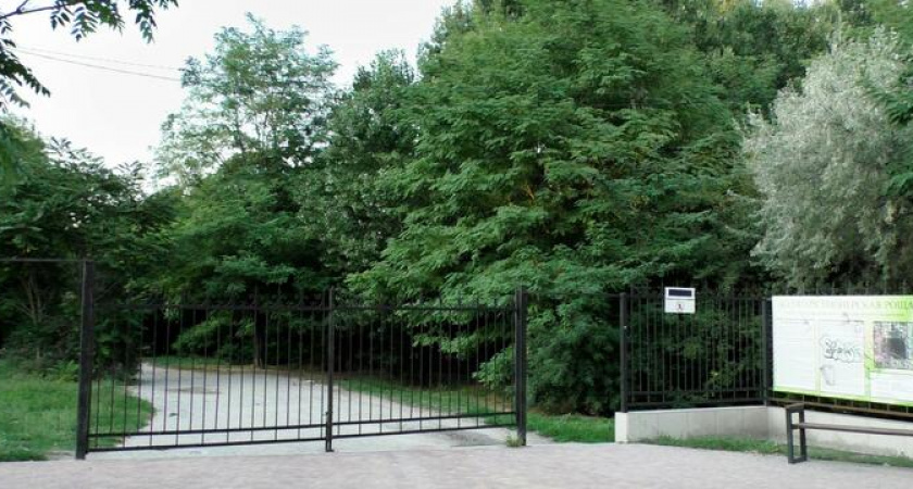 Новороссийцы просят скосить траву в Пионерской роще