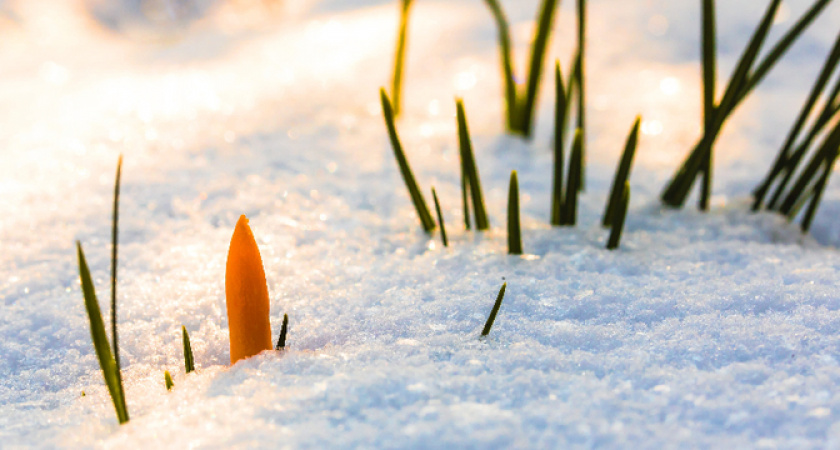 Новый метеорологический прогноз на выходные неутешительный