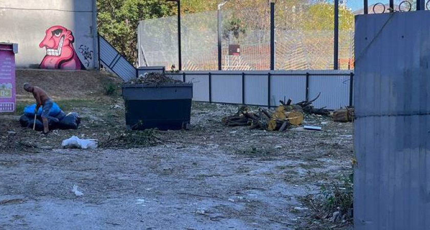 В Новороссийске в парке Фрунзе из-за стройки вырубили деревья