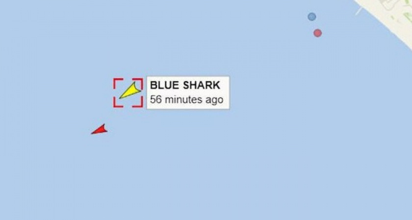 Севший на мель под Анапой сухогруз Blue Shark сняли с мелководья