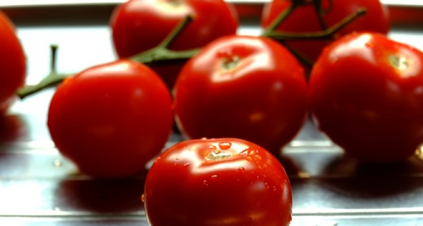 Секрет успешного урожая помидоров: хитрость от дачников