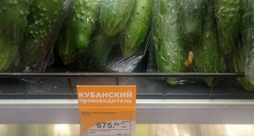 Откуда их везут? На Кубани стоимость огурцов поднялась до критических отметок 