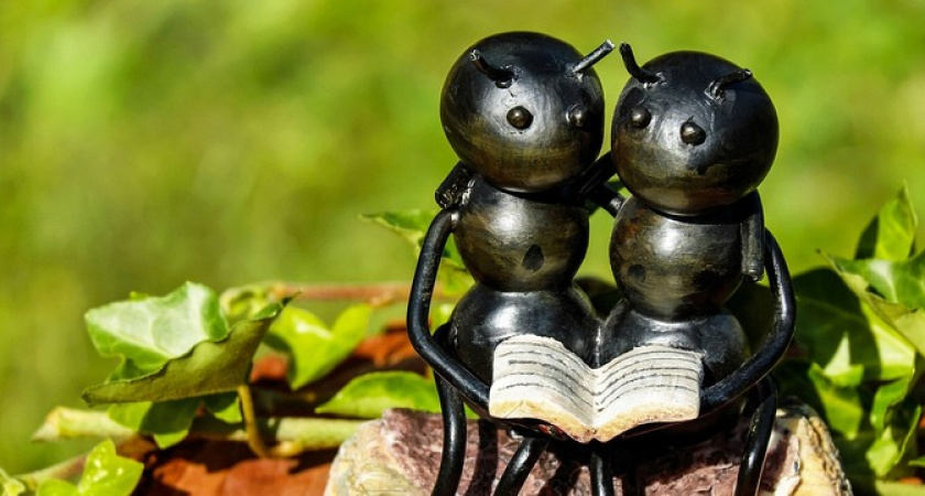 Не выбрасывайте кухонные губки: чудо-средство при борьбе с муравьями