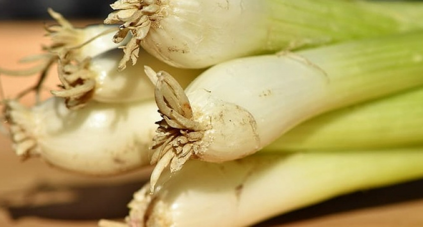 Сварите лук в молоке и выпейте: на утро будете в шоке от результата 