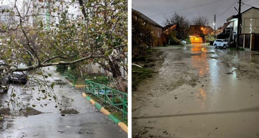 Сломанные деревья и подтопленные улицы: фотоподборка последствий стихии в Новороссийске