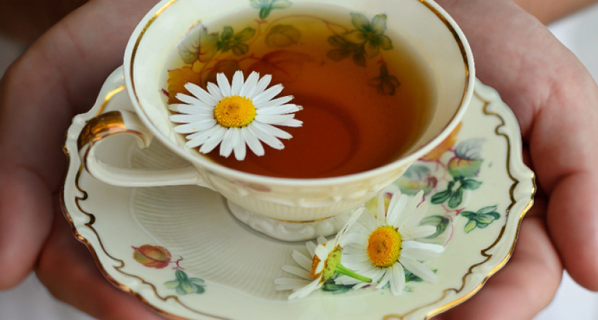 Этот чай нужно пить каждый вечер: его рекомендуют онкологи