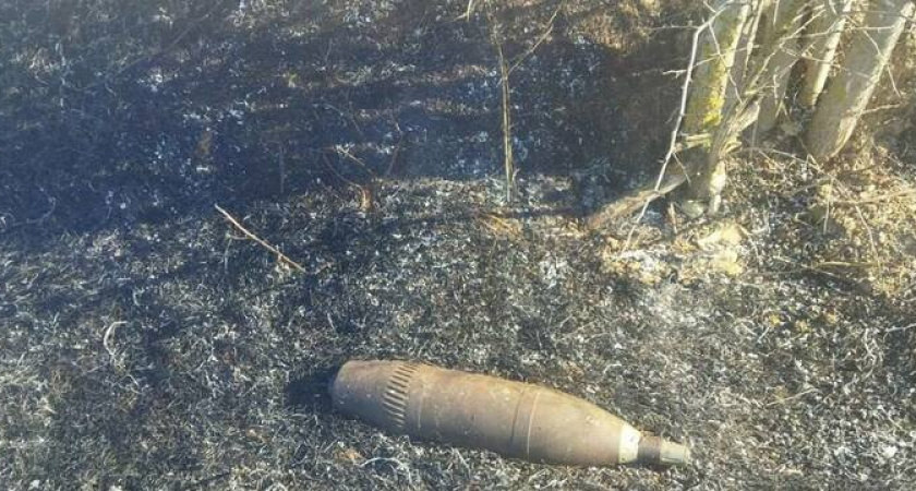Слава Богу не рвануло: в Абрау-Дюрсо случайно нашли снаряд 