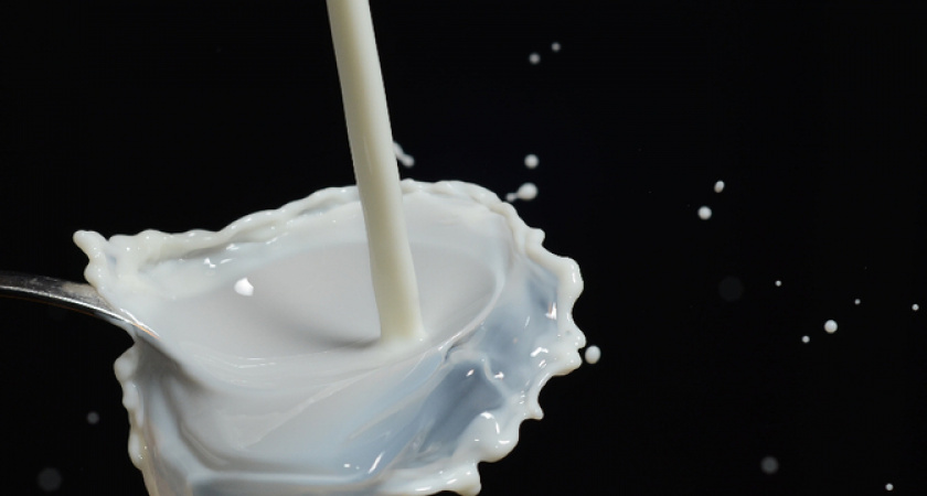 «Не приобретайте это молоко»: Росконтроль назвал марки молока, которые лучше не брать даже для масленицы