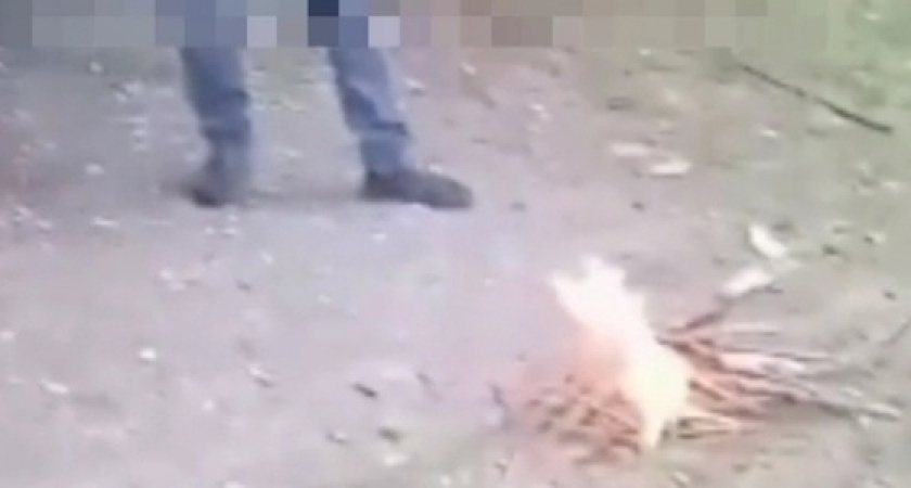 «Мы для игры, а не для шашлыка!»: новороссийцы продолжают разводить костры в Пионерской роще