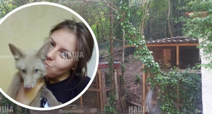 "Они - не шубы!": жительница Новороссийска выкупает пушных зверьков со звероферм в свой приют, нужна помощь