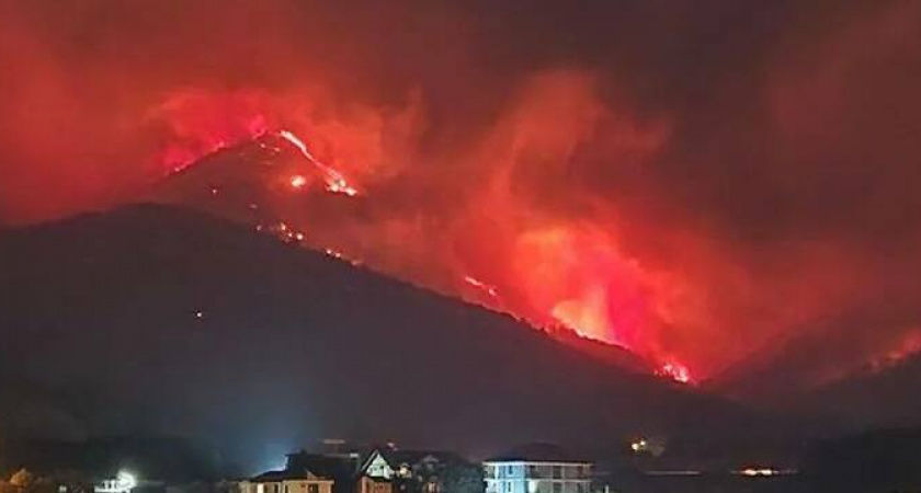 В 92 млн рублей был оценен ущерб от пожара в Геленджике