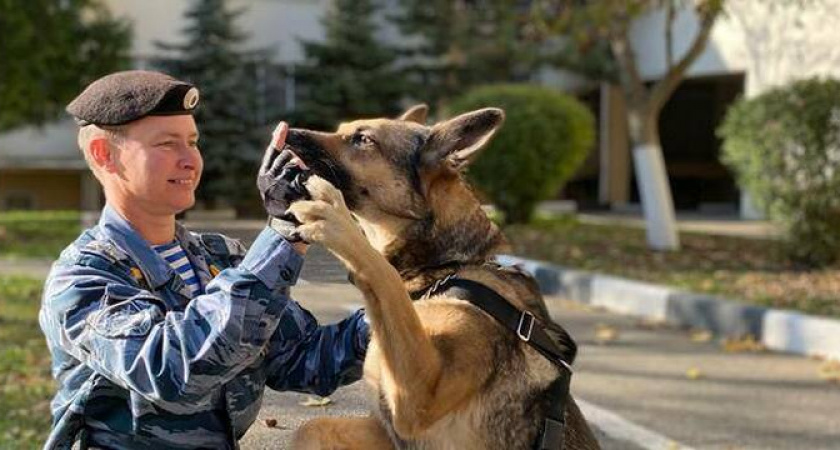 В Новороссийске кинолог УМВД помогла парню, которому стало плохо на улице