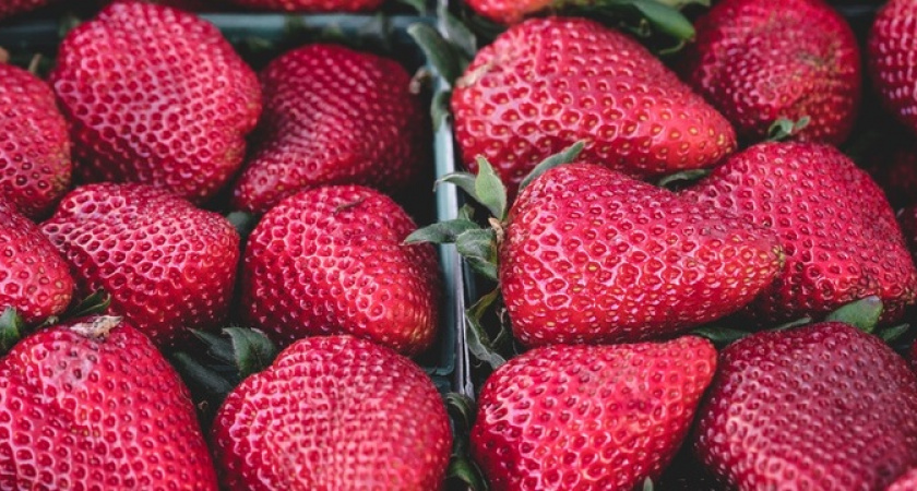 Сочные ягоды и небывалая урожайность: продвинутые дачники уже давно посадили на своём участке эти 3 сорта клубники 