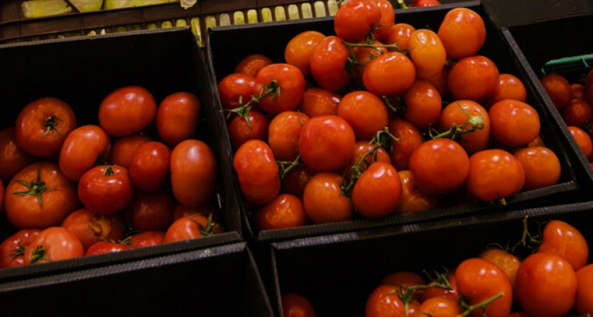 Вирус коричневой морщинистости. В Новороссийске из-за заражения «завернули» 28 тонн помидоров из Египта